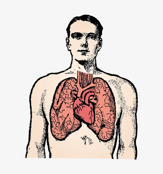 cardiac asthma