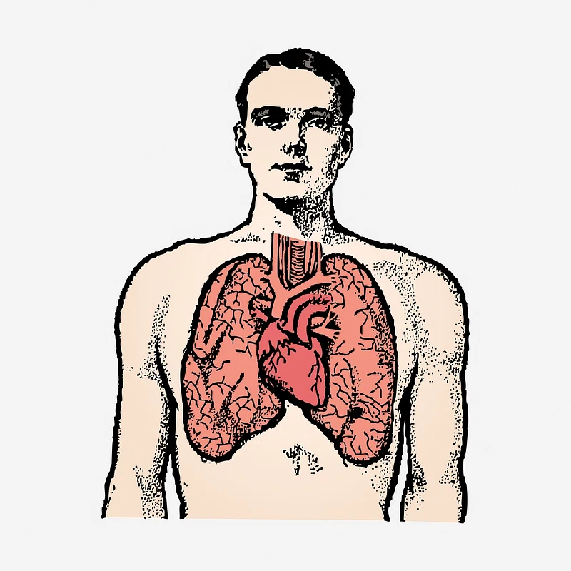 cardiac asthma